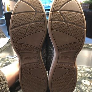 Gray Sperry top-spiders